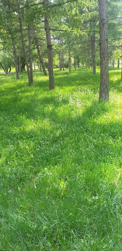Park Dlya Babok - Image 1