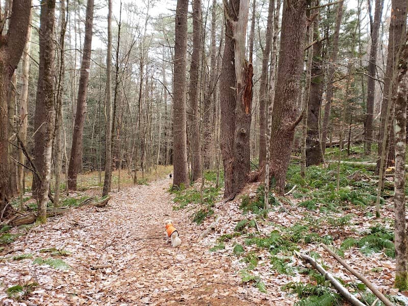 The Boulders Reserve - Dalton Ave Trailhead - Image 1
