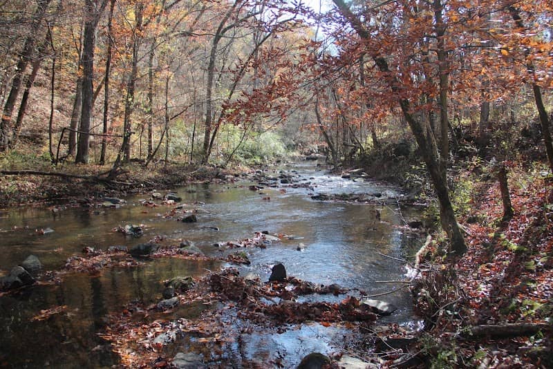 Johns Mountain Wildlife Management Area - Image 1