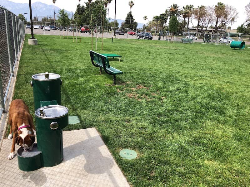 Dog's Park - Image 1
