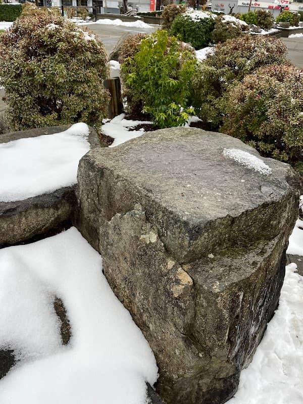 Art garden - Image 1