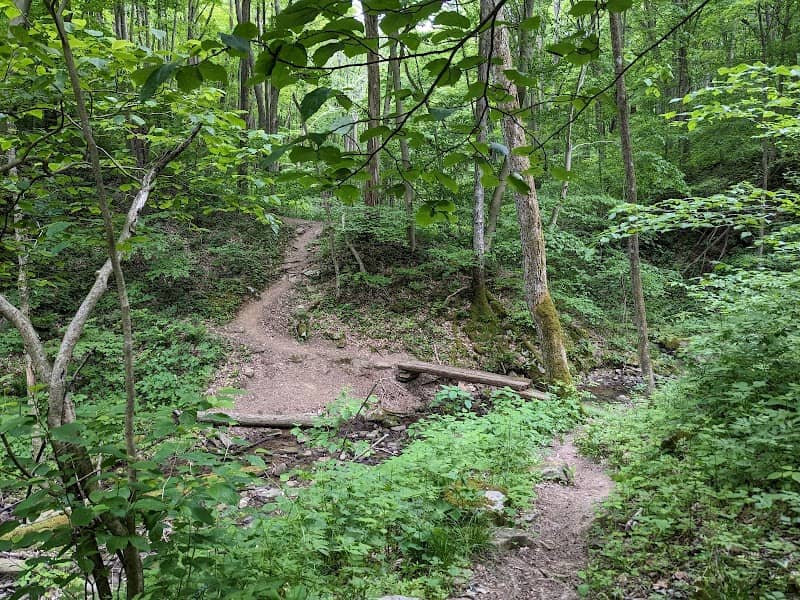 Laurel Highlands Hiking Trailhead Mile 0 - Image 2