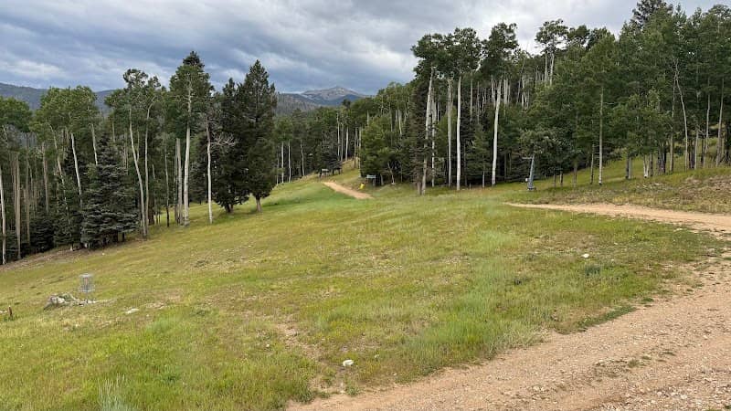 Scenic Summer Chairlift - Image 1