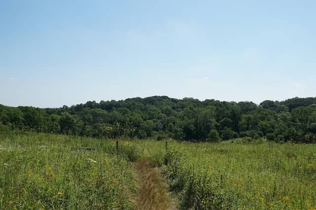 Wehr Nature Center - Image 2