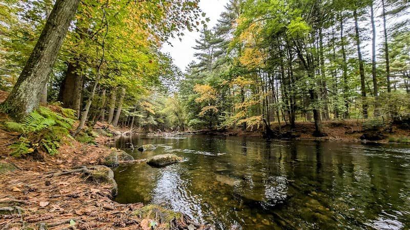 Swift River Greenbelt Conservation Area & Universal Access Loop/Bike/Hiking Trail - Image 1