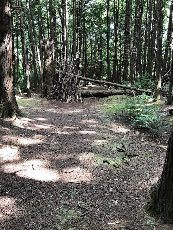 Benzinger Park - Image 2