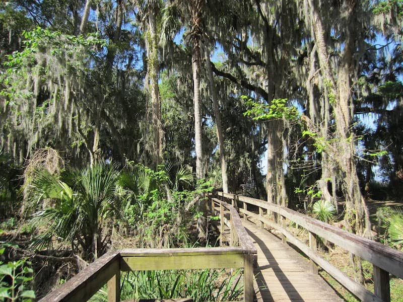 Palm Island Boardwalk - Image 2