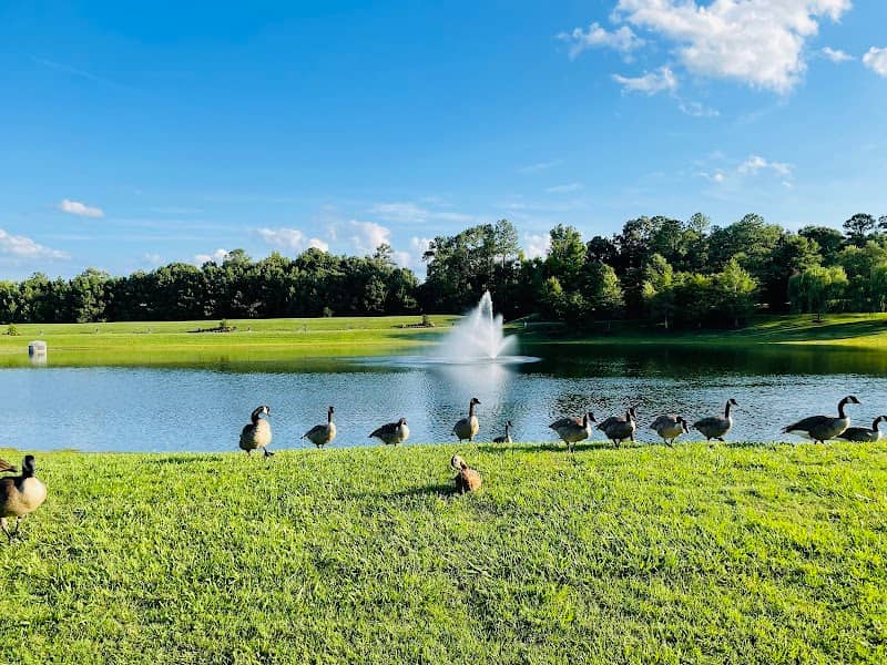 Geese Lake Park - Image 1