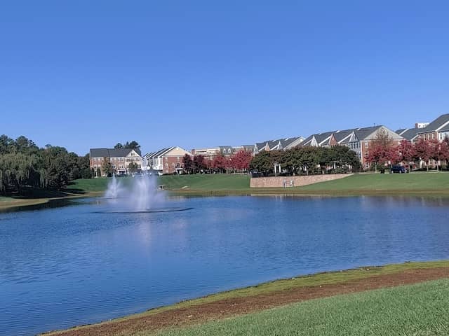 Geese Lake Park - Image 2