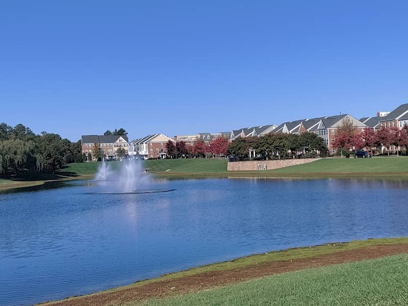 Geese Lake Park - Image 2