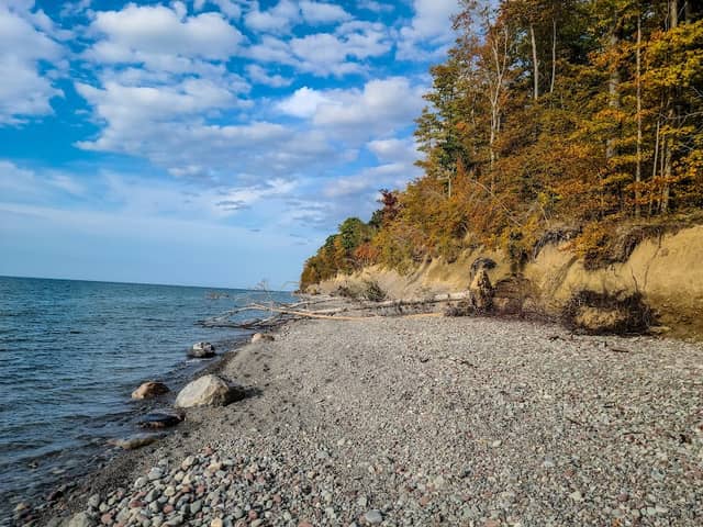 Sterling Nature Center - Image 2