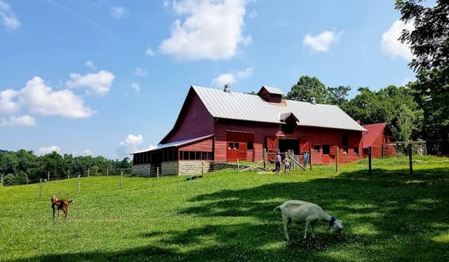 Carl Sandburg Home National Historic Site - Image 2