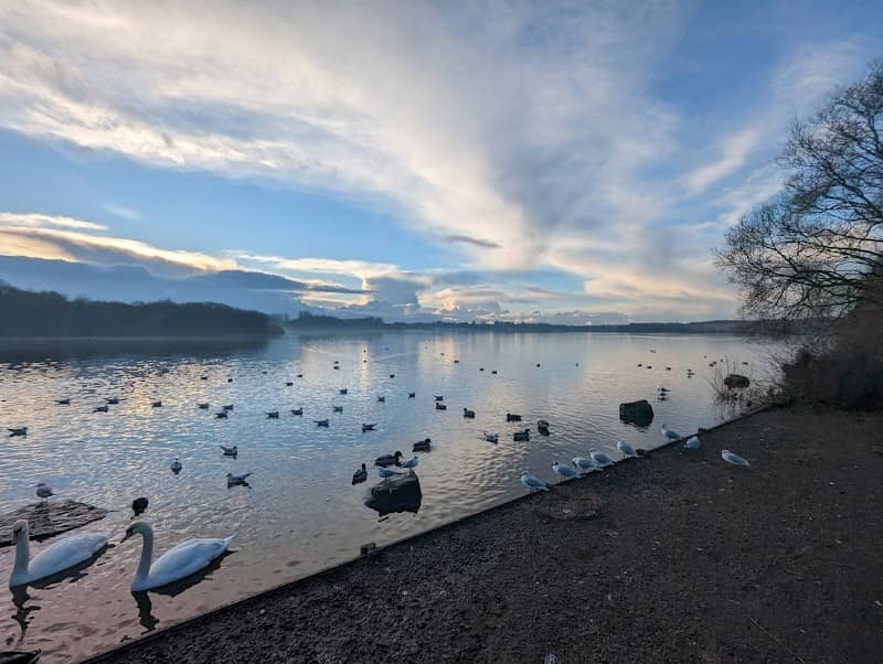 Pennington Flash Nature Reserve - Image 1