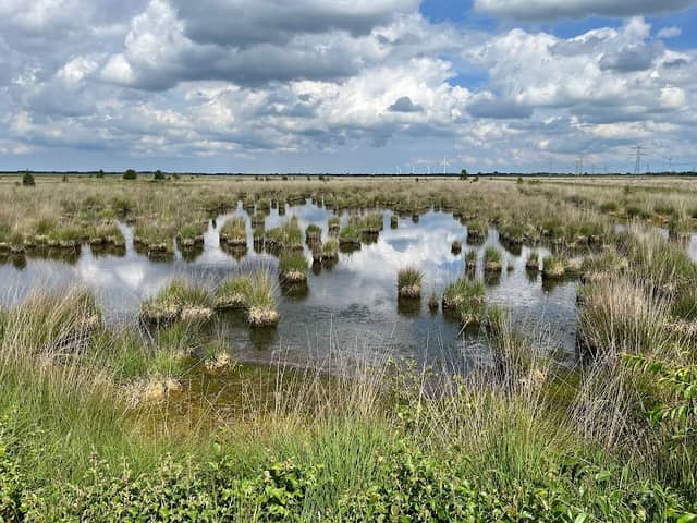 Stapeler Moor Nature Reserve - Image 1