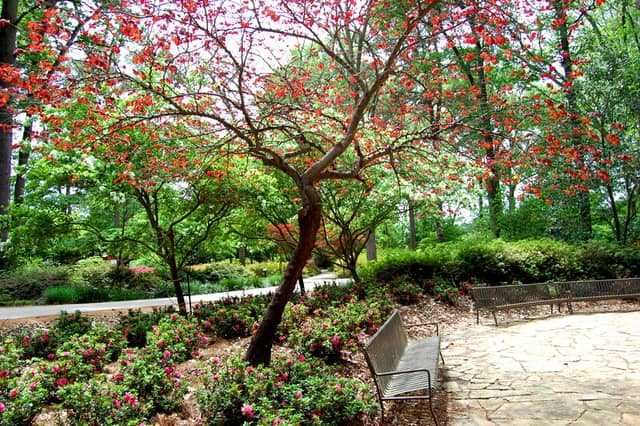 SFA Plantery - Image 2