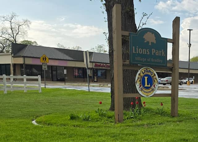 Lion's Park - Image 1