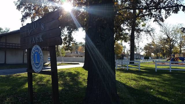 Lion's Park - Image 2