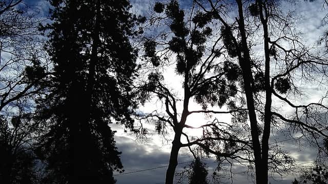 Croxton Memorial Park - Image 1