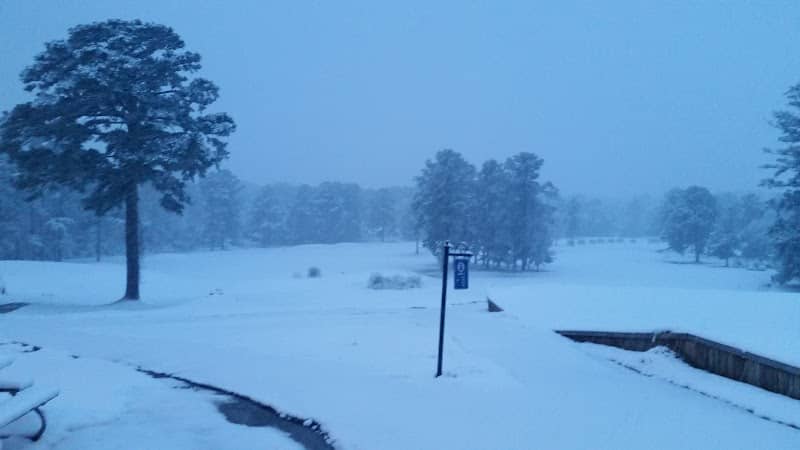 Pearl Municipal Golf Course - Image 2