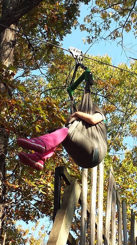 Zippy's Ziplines - Image 1