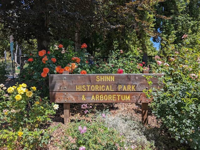 Shinn Historical Park and Arboretum - Image 1
