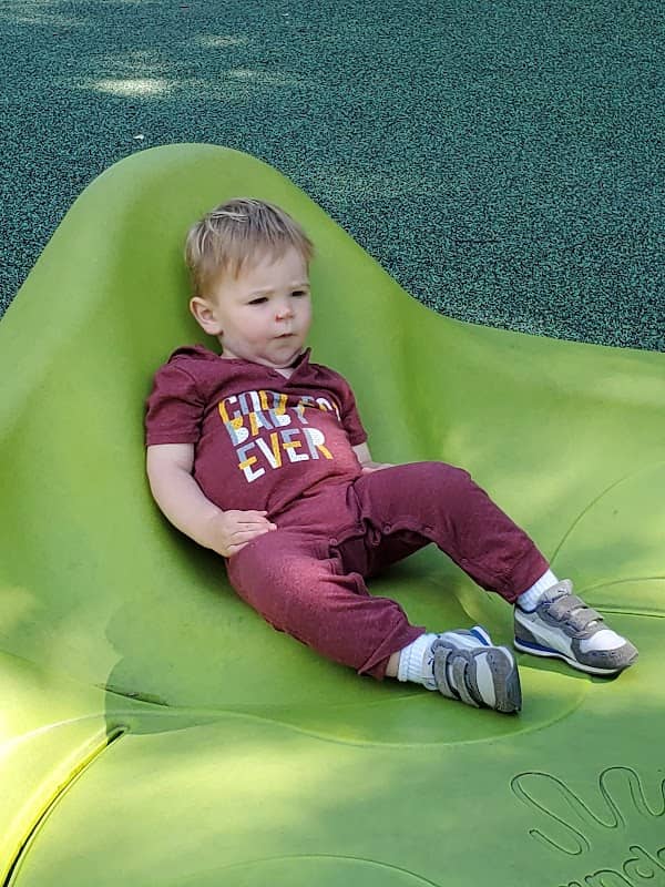 Pete’s Park - Image 2