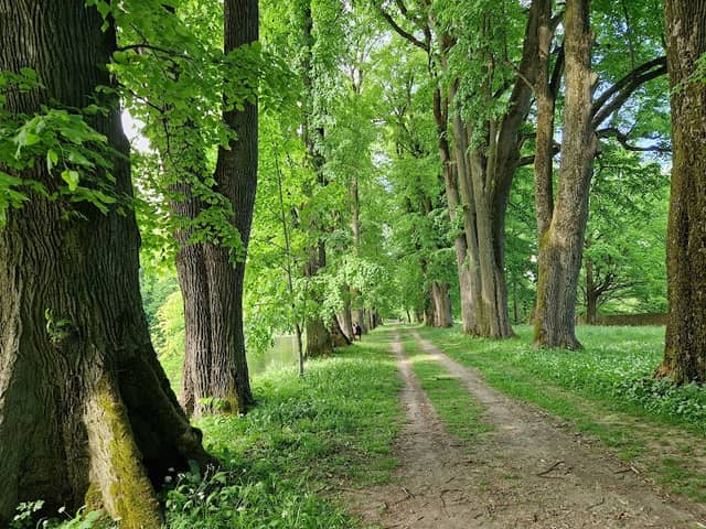 Park w Dukli - Image 2