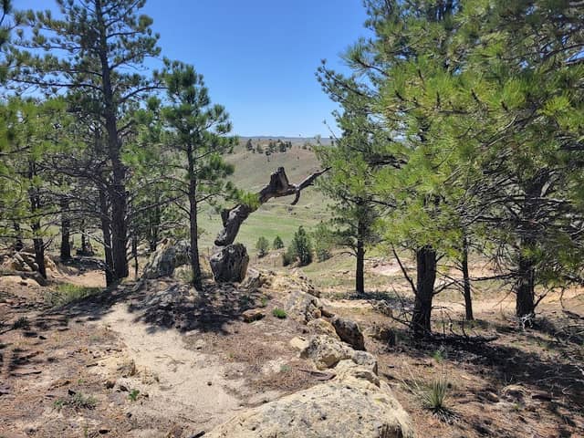 Douglas Mountain Trails and Bike Skills Park - Image 2
