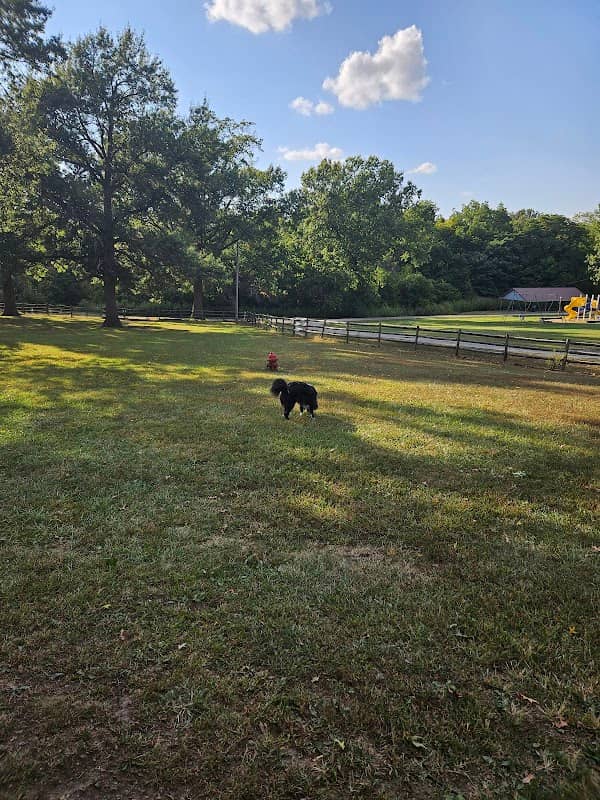 Wiggly Field Dog Park - Image 2