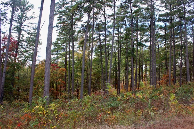 Caney Lake Ranger Area - Image 1