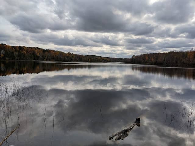 Cedar Run Creek Natural Area - Image 1
