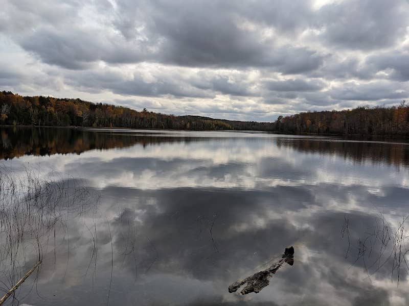 Cedar Run Creek Natural Area - Image 1