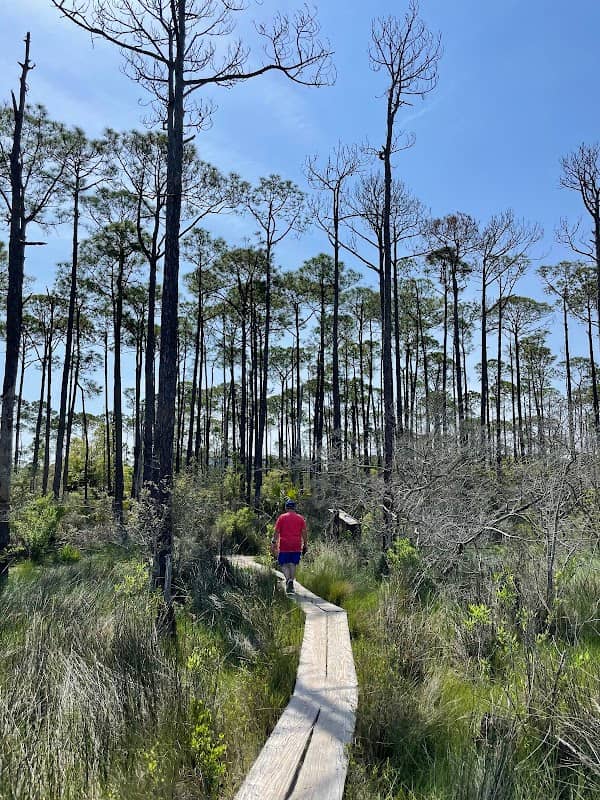 Jolee Island Nature Park - Image 1