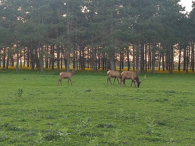Chapman Deer Park - Image 1