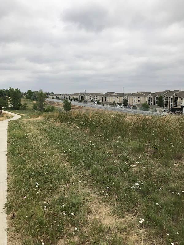 Liberty Hills Park - Image 2
