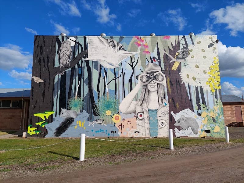 Regent Honeyeater Mural - Image 1