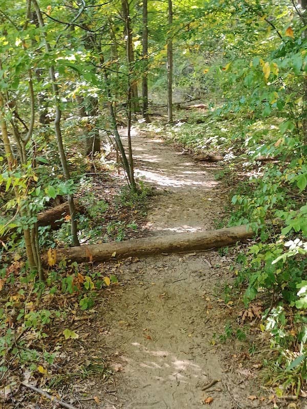 Clay Cliffs - Image 2