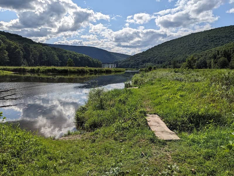 Mill Cove Environmental Area - Image 2