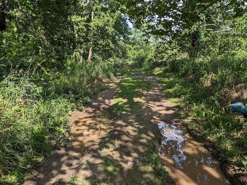 Mill Cove Environmental Area - Image 1