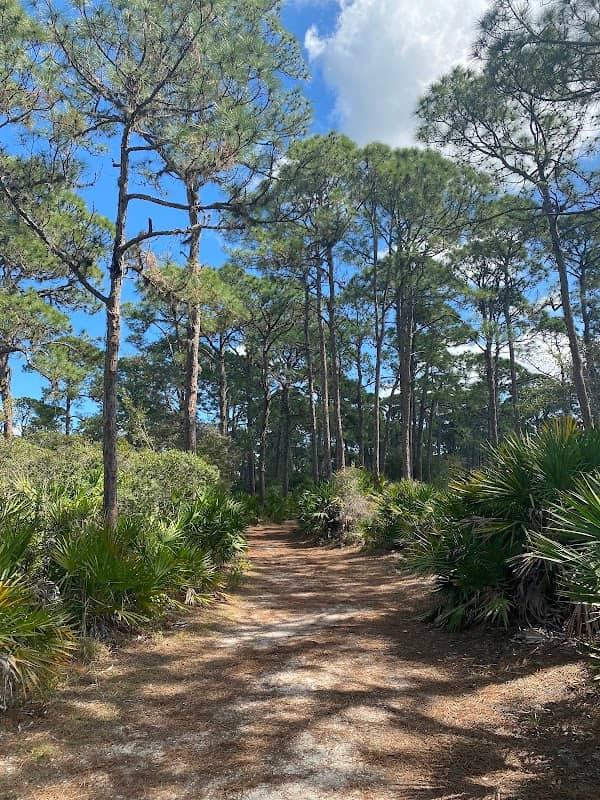Oyster Creek Environmental Park - Image 1