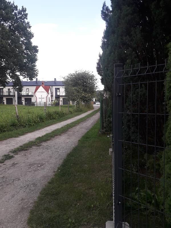 Dąb - pomnik przyrody - Image 1