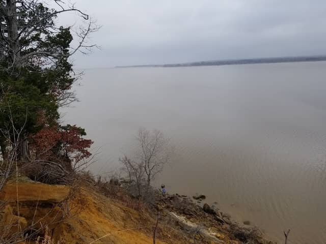 Eagle's Roost - Image 1