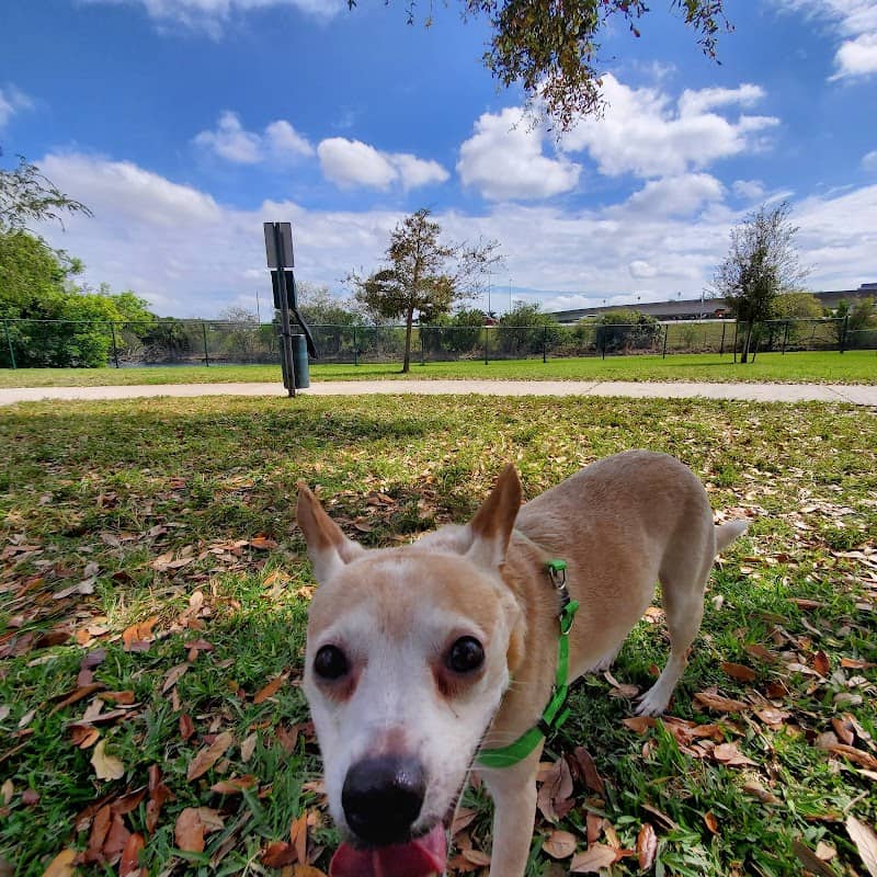 K-9 Cove - Image 1