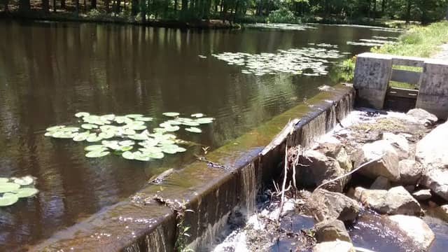 Raccoon Pond - Image 1