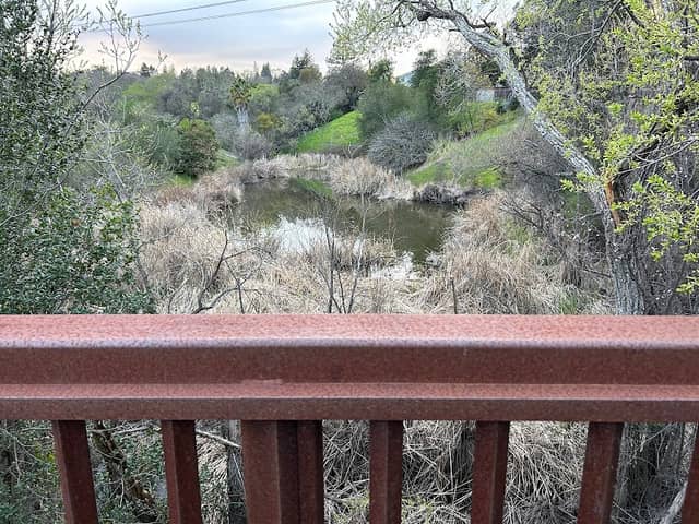 Dragonfly Pond - Image 2