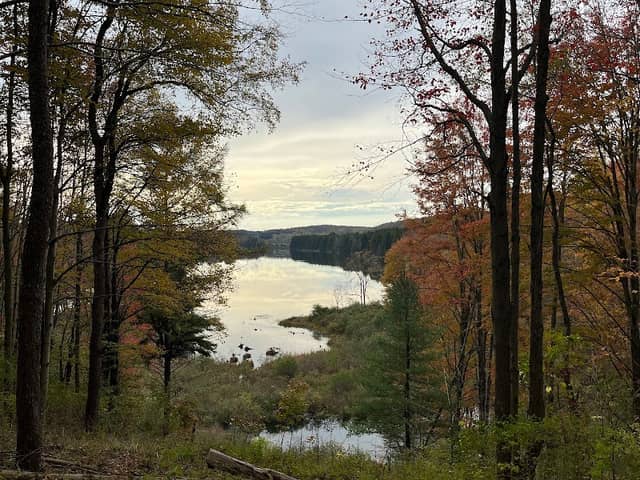 Hills Creek State Park - Image 3