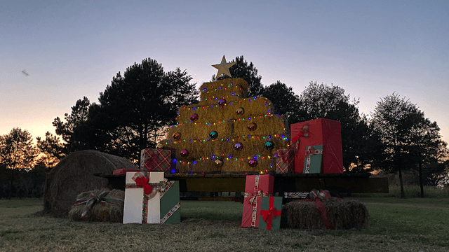 Kadee Christmas Tree Farm - Image 1