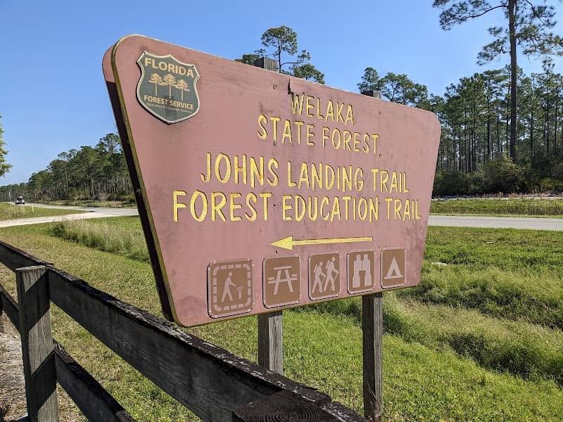 Welaka State Forest - Image 1