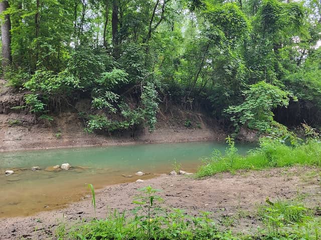 Ulrich Wildlife Preserve - Image 2
