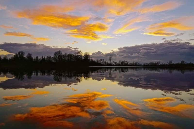 Province Pond - Image 1